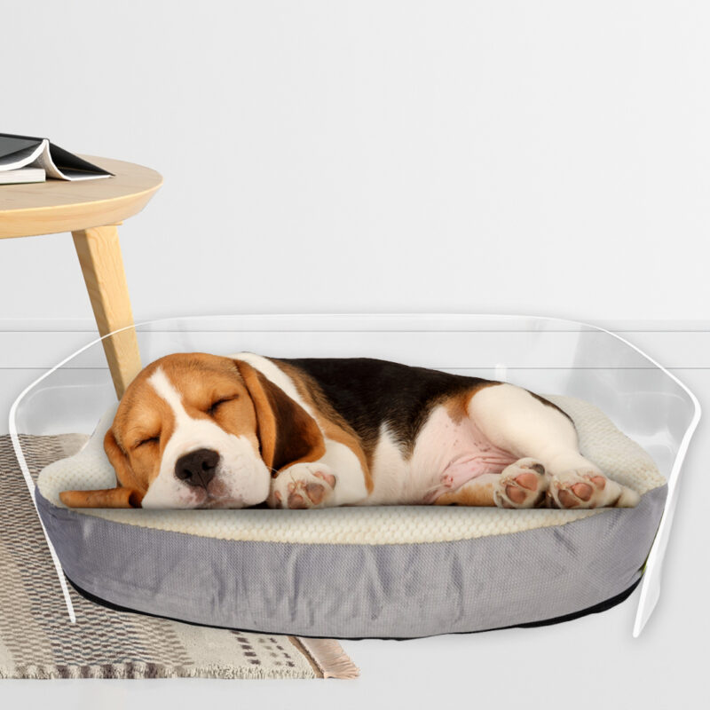 Acrylic Luxury Pet Sofa Bed - The Harvard Shop Manila