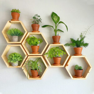 Wooden Honeycomb Wall Shelf